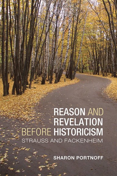 bokomslag Reason and Revelation Before Historicism