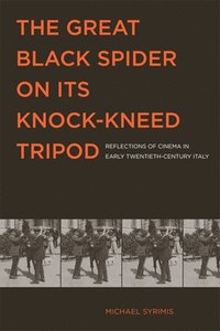 bokomslag The Great Black Spider on Its Knock-Kneed Tripod