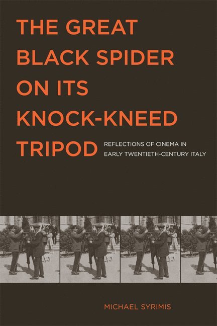 Great Black Spider on Its Knock-Kneed Tripod 1