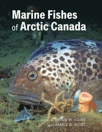 bokomslag Marine Fishes of Arctic Canada