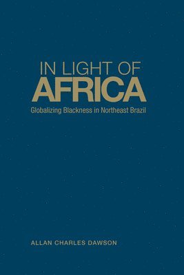 bokomslag In Light of Africa