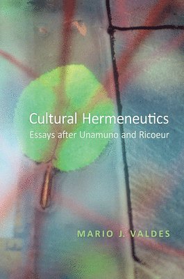 Mario Valdes - Cultural Hermeneutics, Inbunden