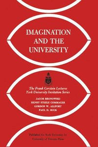 bokomslag Imagination and the University