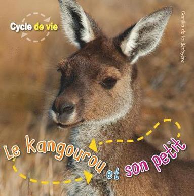 bokomslag Cycle de Vie: Le Kangourou Et Son Petit