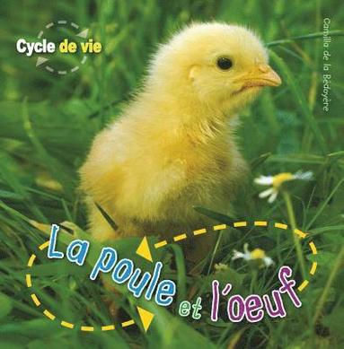 bokomslag Cycle de Vie: La Poule Et l'Oeuf