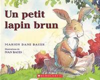 bokomslag Un Petit Lapin Brun