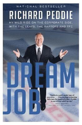 bokomslag Dream Job
