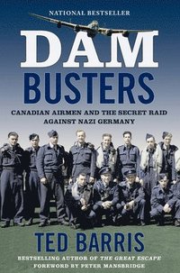 bokomslag Dam Busters