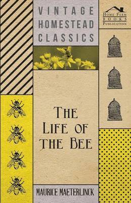 The Life Of The Bee 1