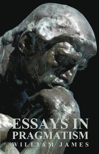 bokomslag Essays In Pragmatism