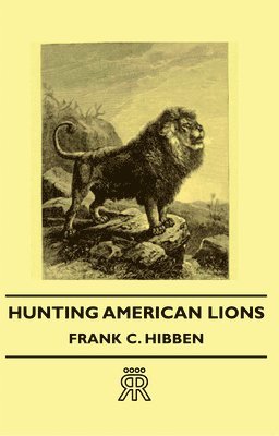 bokomslag Hunting American Lions