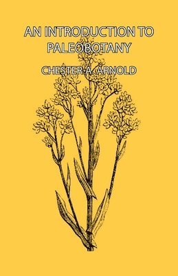 bokomslag An Introduction To Paleobotany