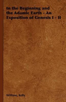 bokomslag In the Beginning and the Adamic Earth - An Exposition of Genesis I - II