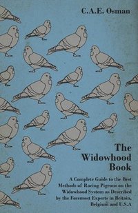 bokomslag The Widowhood Book - A Complete Guide to the Best Methods of Racing Pigeons on the Widowhood System as Described by the Foremost Experts in Britain, Belgium and U.S.A