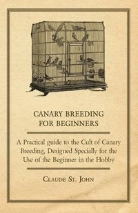 bokomslag Canary Breeding for Beginners - A Practical Guide to the Cult of Canary Breeding, Designed Specially for the Use of the Beginner in the Hobby.