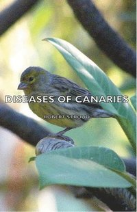bokomslag Diseases of Canaries
