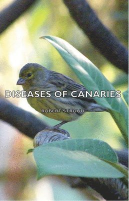 Robert, Stroud, Robert Stroud - Diseases of Canaries, Inbunden