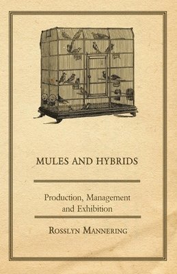 bokomslag Mules and Hybrids - Production, Management, & Exhibition