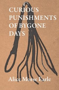 bokomslag Curious Punishments of Bygone Days