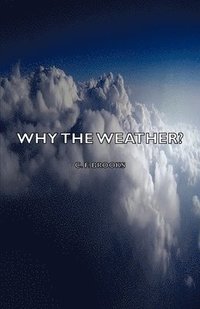 bokomslag Why the Weather?