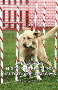 bokomslag Labradors - History, Breeding, Field Trials & Shows