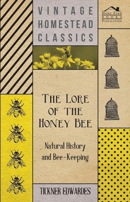 bokomslag Lore of the Honey Bee - Natural History and Bee-Keeping