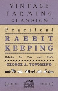 bokomslag Practical Rabbit Keeping - Rabbits for Pets and Profit