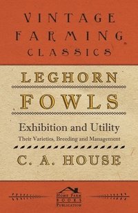 bokomslag Leghorn Fowls - Exhibition And Utility
