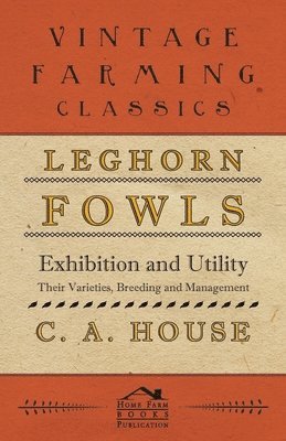 Leghorn Fowls - Exhibition And Utility 1