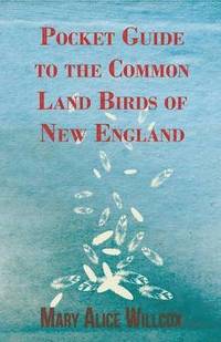 bokomslag Pocket Guide To The Common Land Birds Of New England