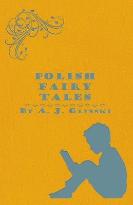 bokomslag Polish Fairy Tales