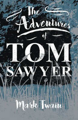 bokomslag Adventures Of Tom Sawyer