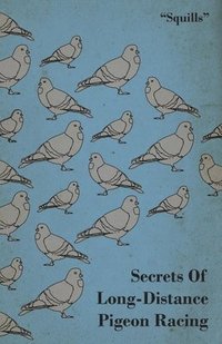 bokomslag Secrets Of Long-Distance Pigeon Racing