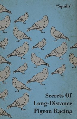 bokomslag Secrets Of Long-Distance Pigeon Racing