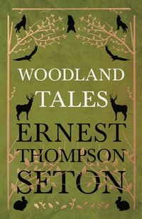 bokomslag Woodland Tales