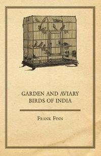 bokomslag Garden And Aviary Birds Of India