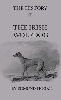 bokomslag The History Of The Irish Wolfdog