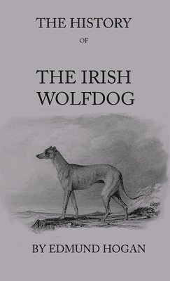 The History Of The Irish Wolfdog 1