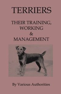 bokomslag Terriers - Their Training, Work & Management