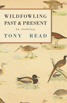 Tony Read - Wildfowling Past & Present - An Anthology, Häftad