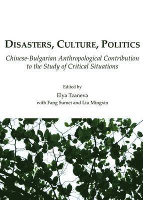 Disasters, Culture, Politics 1