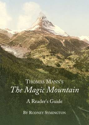 Rodney Symington - Thomas Mann’s The Magic Mountain, Inbunden