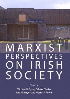 Odette Clarke, Jean Ryan Hakizimana, Paul M. Hayes - Marxist Perspectives on Irish Society, Häftad