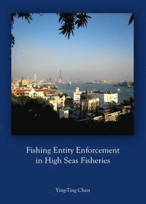 bokomslag Fishing Entity Enforcement in High Seas Fisheries