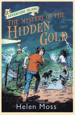 bokomslag Adventure Island: The Mystery of the Hidden Gold