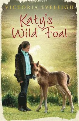 Katy's Exmoor Ponies: Katy's Wild Foal 1