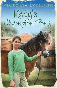 bokomslag Katy's Exmoor Ponies: Katy's Champion Pony