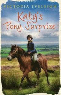 bokomslag Katy's Exmoor Ponies: Katy's Pony Surprise