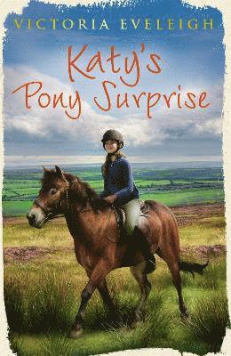 Katy's Exmoor Ponies: Katy's Pony Surprise 1