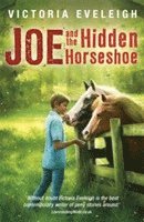 bokomslag The Horseshoe Trilogy: Joe and the Hidden Horseshoe